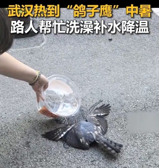 华星配资 广东多地“落滚水”，北京出现“桑拿天”，网友：衣物都有馊味了