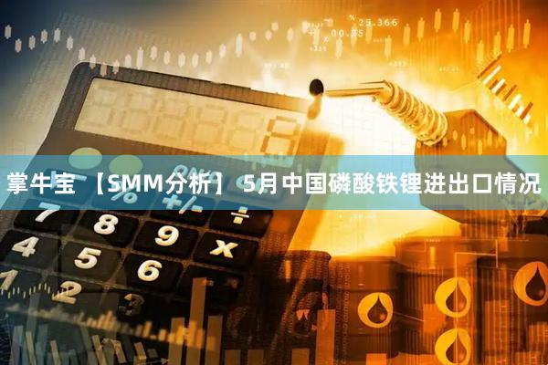 掌牛宝 【SMM分析】 5月中国磷酸铁锂进出口情况