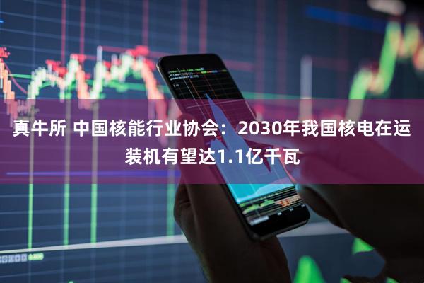 真牛所 中国核能行业协会：2030年我国核电在运装机有望达1.1亿千瓦