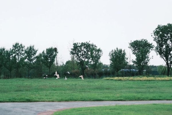 涨中宝 光明时评：年轻人爱上了“情绪旅游”？