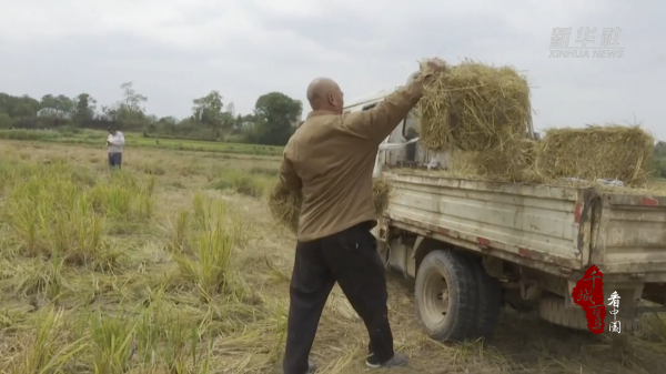 冠达配资 千城百县看中国｜湖南祁阳：“生态循环”激活乡村振兴“双赢路”