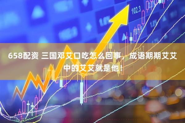 658配资 三国邓艾口吃怎么回事，成语期期艾艾中的艾艾就是他！