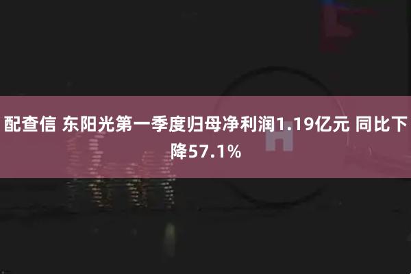 配查信 东阳光第一季度归母净利润1.19亿元 同比下降57.1%