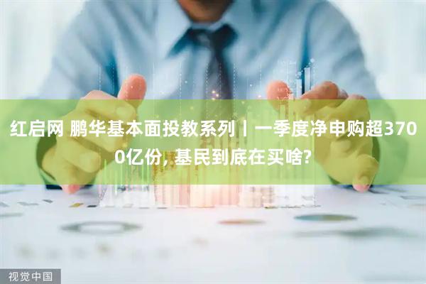 红启网 鹏华基本面投教系列丨一季度净申购超3700亿份, 基民到底在买啥?